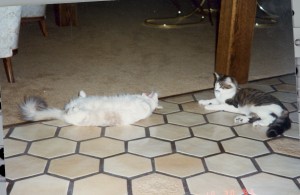 Fritz yawns with Charlie
